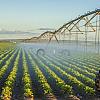 Naviraí é destaque no novo Polo de Agricultura Irrigada do Centro-Sul