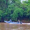 Piracema começa na próxima sexta na bacia do Rio Paraná